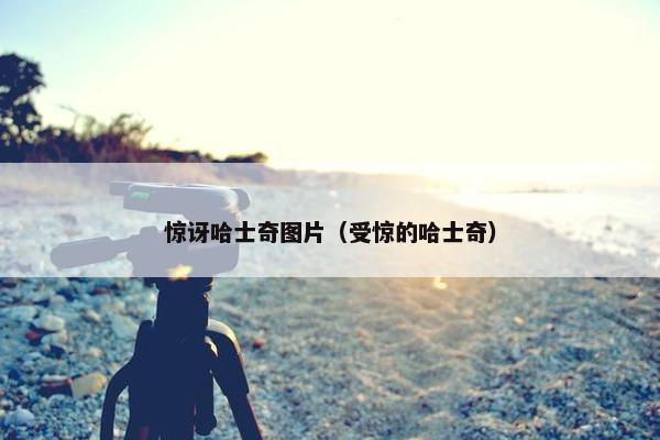 惊讶哈士奇图片（受惊的哈士奇）