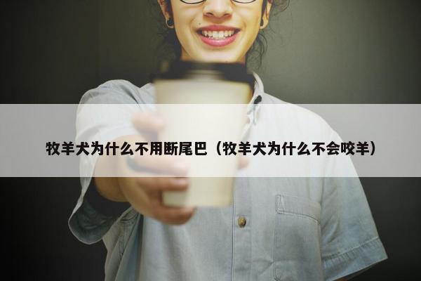 牧羊犬为什么不用断尾巴（牧羊犬为什么不会咬羊）