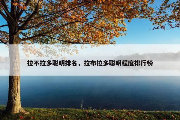 拉不拉多聪明排名，拉布拉多聪明程度排行榜