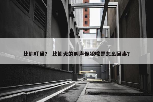 比熊叮当？ 比熊犬的叫声像狼嚎是怎么回事？