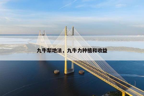 九牛犁地法，九牛力种植和收益