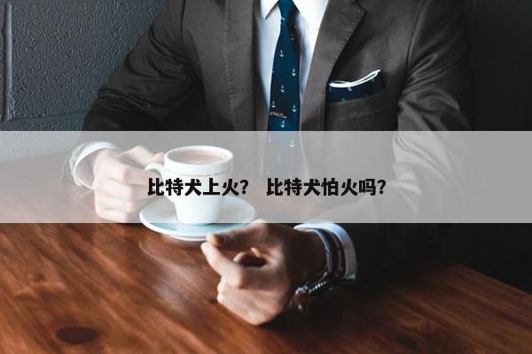 比特犬上火？ 比特犬怕火吗？