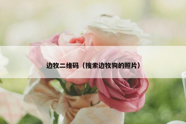 边牧二维码（搜索边牧狗的照片）