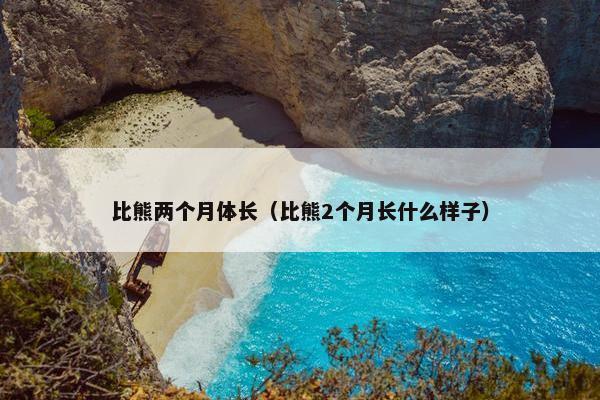 比熊两个月体长（比熊2个月长什么样子）