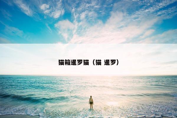 猫箱暹罗猫（猫 暹罗）