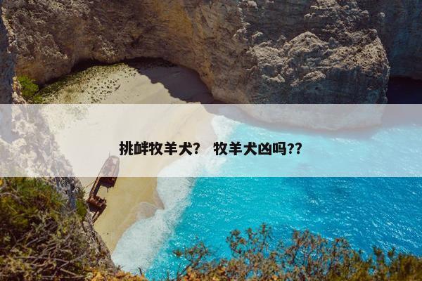 挑衅牧羊犬？ 牧羊犬凶吗?？