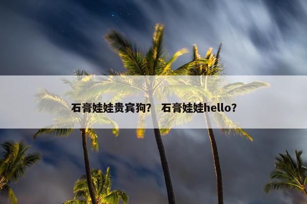 石膏娃娃贵宾狗？ 石膏娃娃hello？