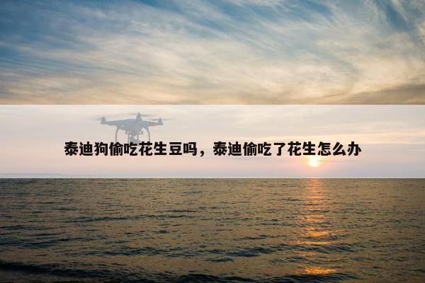 泰迪狗偷吃花生豆吗，泰迪偷吃了花生怎么办