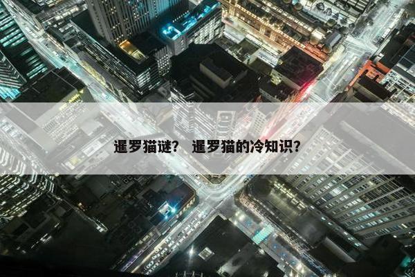 暹罗猫谜？ 暹罗猫的冷知识？