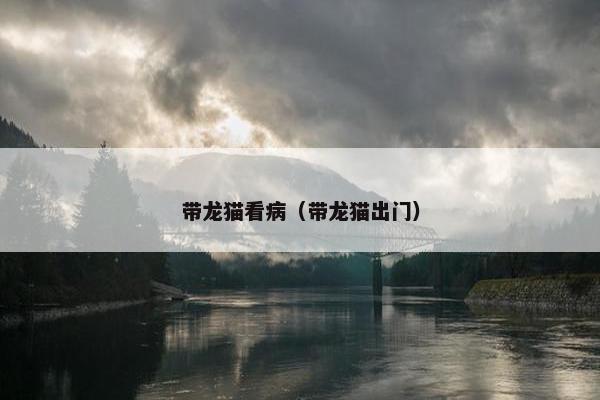 带龙猫看病（带龙猫出门）
