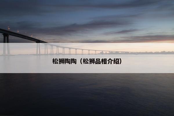 松狮陶陶（松狮品相介绍）