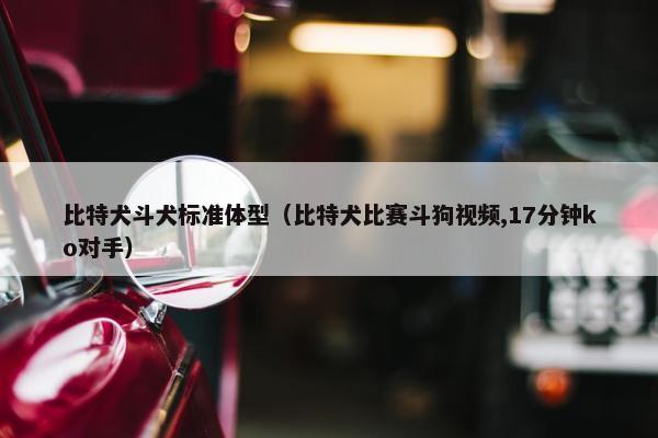比特犬斗犬标准体型（比特犬比赛斗狗视频,17分钟ko对手）