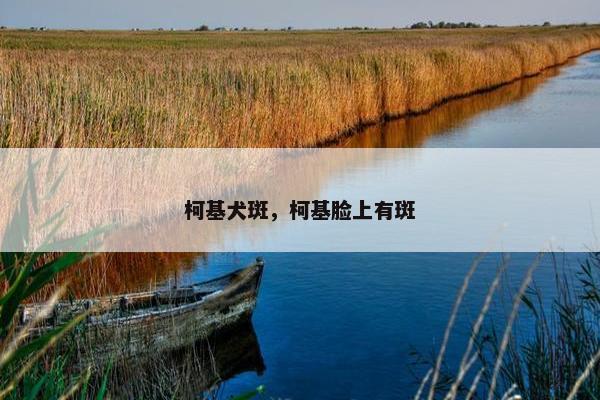 柯基犬斑，柯基脸上有斑
