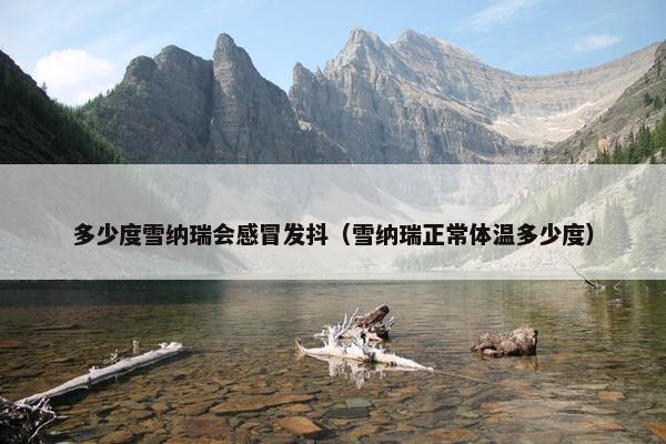多少度雪纳瑞会感冒发抖（雪纳瑞正常体温多少度）