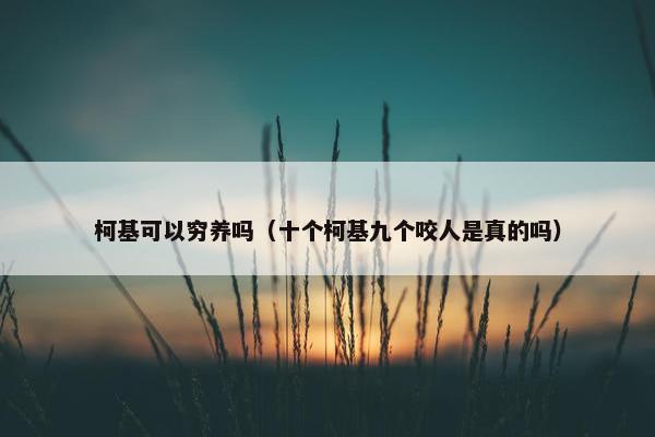 柯基可以穷养吗（十个柯基九个咬人是真的吗）