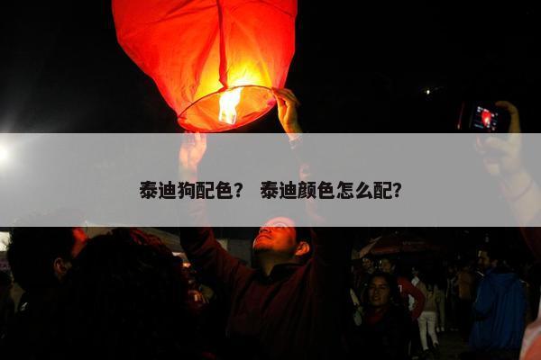 泰迪狗配色？ 泰迪颜色怎么配？