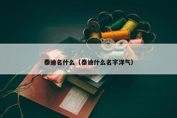 泰迪名什么（泰迪什么名字洋气）