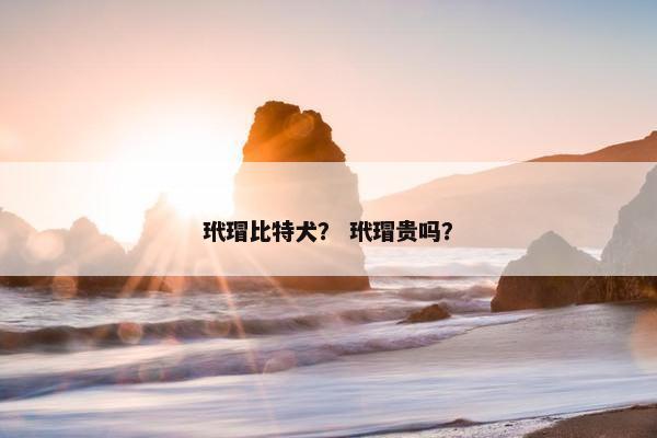 玳瑁比特犬？ 玳瑁贵吗？