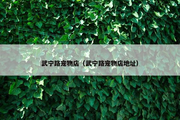 武宁路宠物店（武宁路宠物店地址）