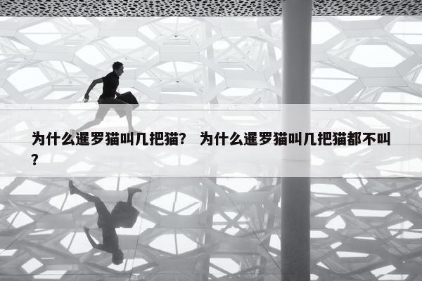 为什么暹罗猫叫几把猫？ 为什么暹罗猫叫几把猫都不叫？