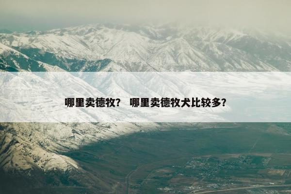 哪里卖德牧？ 哪里卖德牧犬比较多？
