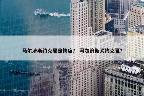 马尔济斯约克夏宠物店？ 马尔济斯犬约克夏？