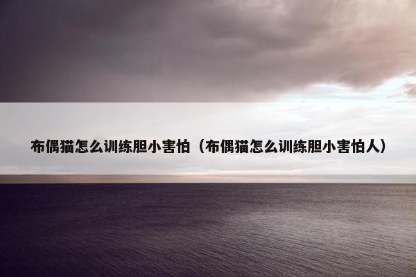 布偶猫怎么训练胆小害怕（布偶猫怎么训练胆小害怕人）