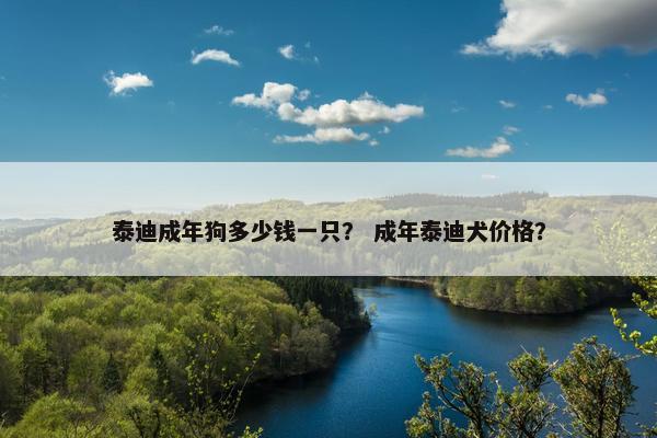 泰迪成年狗多少钱一只？ 成年泰迪犬价格？