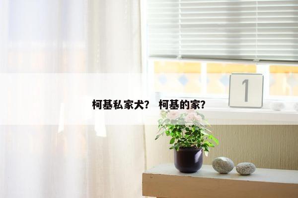 柯基私家犬？ 柯基的家？