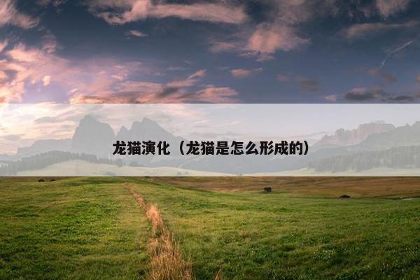 龙猫演化（龙猫是怎么形成的）