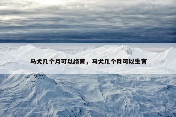 马犬几个月可以绝育，马犬几个月可以生育