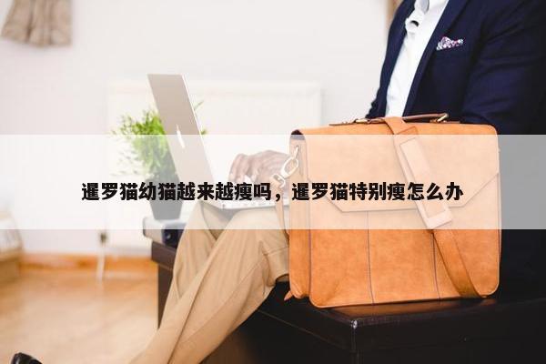 暹罗猫幼猫越来越瘦吗，暹罗猫特别瘦怎么办