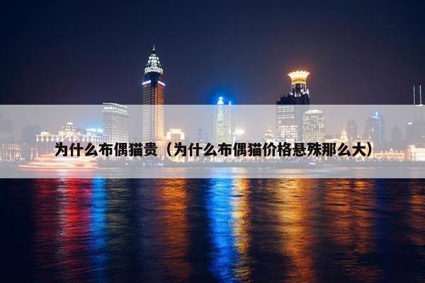为什么布偶猫贵（为什么布偶猫价格悬殊那么大）