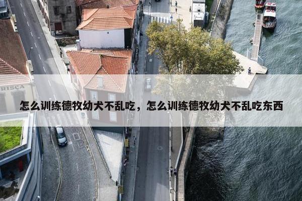 怎么训练德牧幼犬不乱吃，怎么训练德牧幼犬不乱吃东西