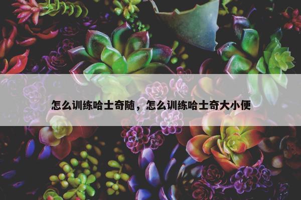 怎么训练哈士奇随，怎么训练哈士奇大小便