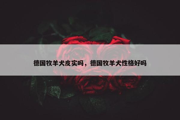 德国牧羊犬皮实吗，德国牧羊犬性格好吗