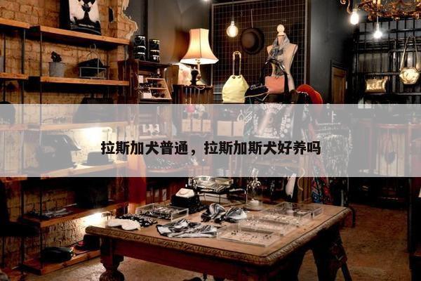 拉斯加犬普通，拉斯加斯犬好养吗