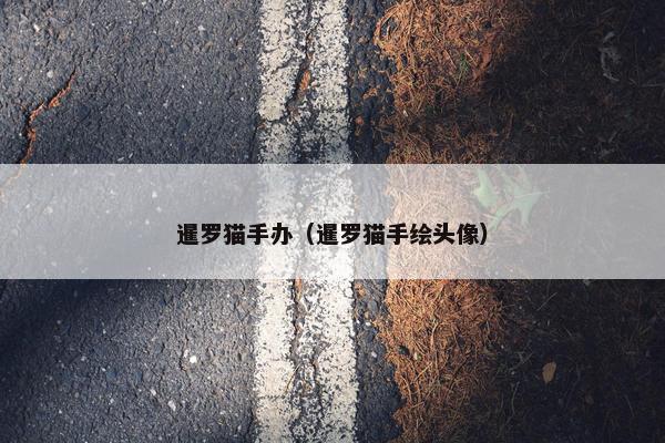暹罗猫手办（暹罗猫手绘头像）