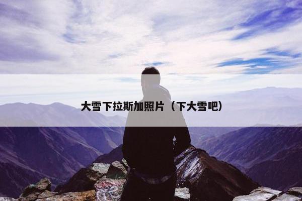 大雪下拉斯加照片（下大雪吧）