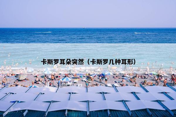 卡斯罗耳朵突然（卡斯罗几种耳形）