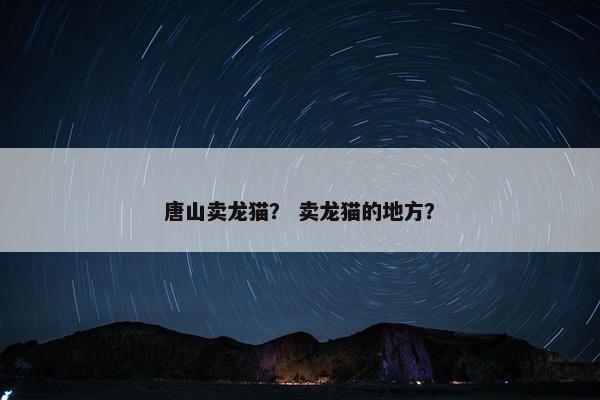 唐山卖龙猫？ 卖龙猫的地方？