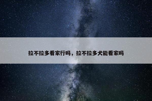 拉不拉多看家行吗，拉不拉多犬能看家吗