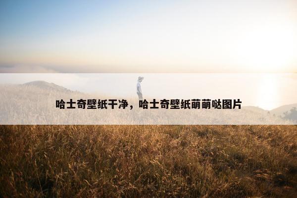 哈士奇壁纸干净，哈士奇壁纸萌萌哒图片