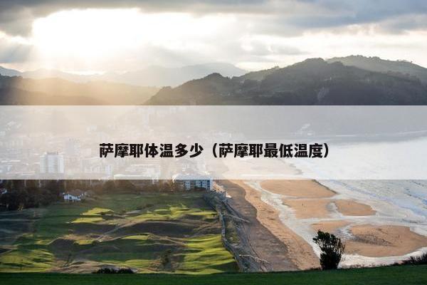 萨摩耶体温多少（萨摩耶最低温度）