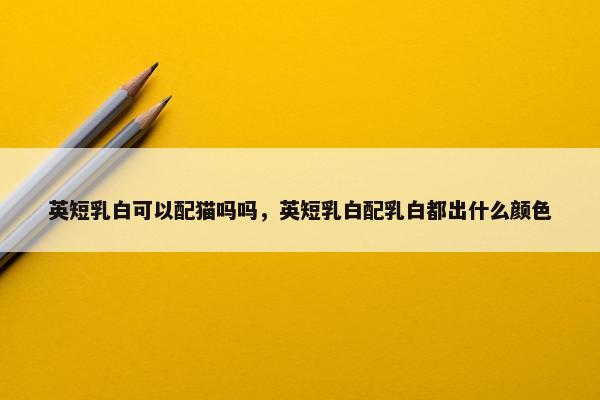 英短乳白可以配猫吗吗，英短乳白配乳白都出什么颜色