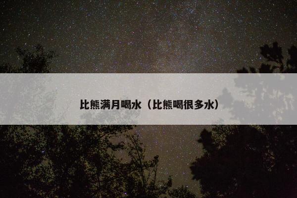 比熊满月喝水（比熊喝很多水）