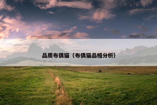 品质布偶猫（布偶猫品相分析）