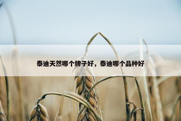 泰迪天然哪个牌子好，泰迪哪个品种好