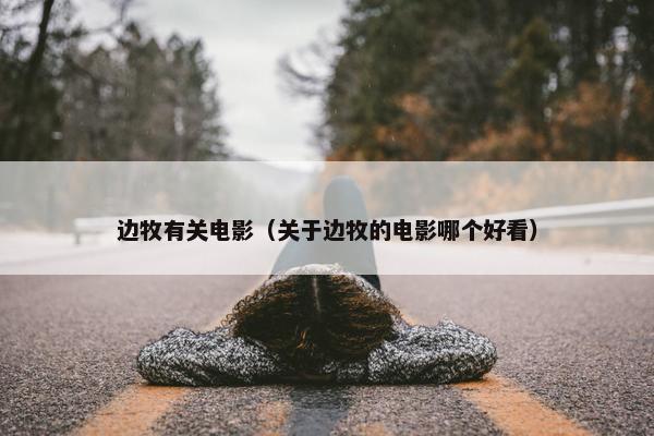 边牧有关电影（关于边牧的电影哪个好看）