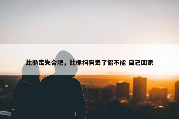 比熊走失合肥，比熊狗狗丢了能不能 自己回家